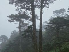 -苍山感通索道