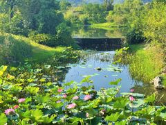 -雅达·阳羡溪山小镇中心