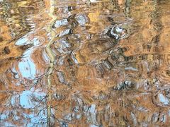 -白鹭湾湿地公园