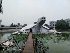-东方巨龟苑景区