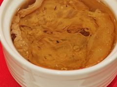 羊肚菌炖肉汁花胶汤-金满楼(天河中路店)