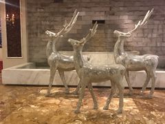 -奥斯汀KTV(金湖店)