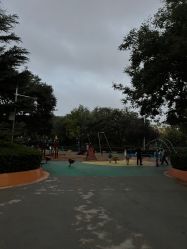 -酷酷兔少儿拓展天地