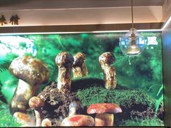 -野·大山里野生菌石锅土鸡(益田假日店)