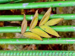 -藏龙百瀑风景区