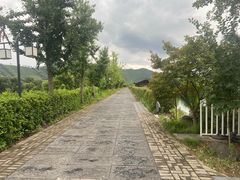 -帐篷客·溪龙茶谷度假酒店