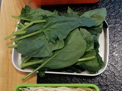 -川大刘肥肠鸡(北国店)
