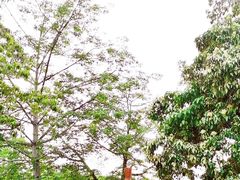 -头塘庄园(农家乐)