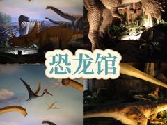-中国西峡恐龙遗迹园
