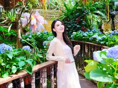 -正佳雨林生态植物园