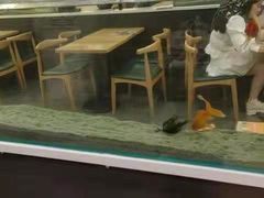 -李先生牛肉面大王(成都东站西广场店)