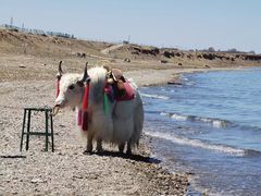 -青海湖国家重点风景名胜区
