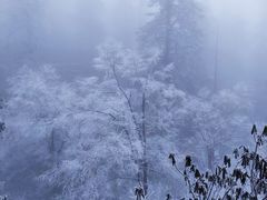 -瓦屋山景区
