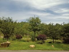 -天花井景区