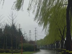 -丁香湖公园