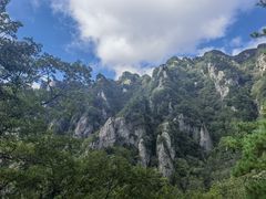-王顺山国家森林公园