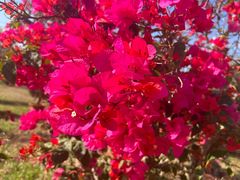 -海南热带雨林国家公园吊罗山景区