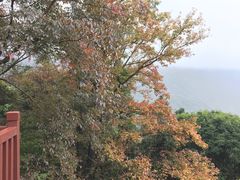 -广州市石门国家森林公园