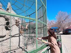 -新疆天山野生动物园