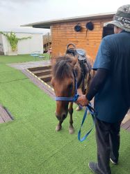 -小蜜蜂农场(凯德七宝购物广场店)