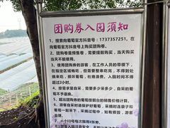 -向葡萄庄园
