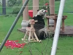 -无锡动物园·太湖欢乐园