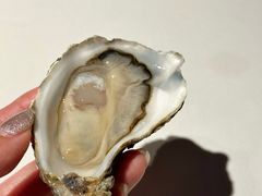 生蚝-Oyster Talks 四度蚝法餐厅