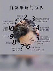 -希梵尔头皮抗衰·科技养发