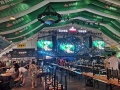 -第35届青岛国际啤酒节