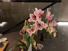 -施奈儿.洗头頭療.按摩SPA.采耳(上梅林店)