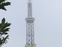 -江西阳明山国家森林公园