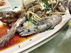 -阳江餐厅·30年老字号·粤菜海鲜大排档