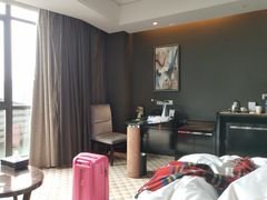 -常州环球恐龙城维景国际大酒店