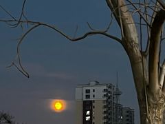 -涿掌柜·涿州宴