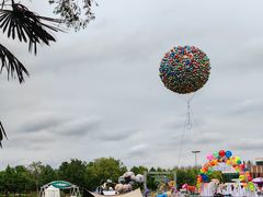 -黄海国家森林公园