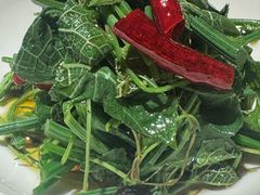 木姜子油拌苗菜-庆春朴门