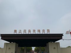 -海上花岛玫瑰园采摘