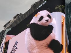 -合景·悠方(成都店)
