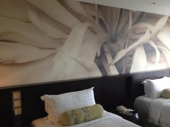 -国家会议中心大酒店