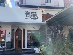 -有猫主题·治愈系猫咖(曾厝垵店)
