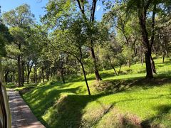 -承德避暑山庄景区