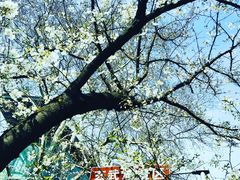 -南京城墙景区
