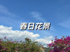 -西双版纳傣族园
