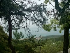 android_upload_pic-崂山仰口游览区