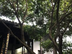 -乌镇东栅景区-茅盾故居