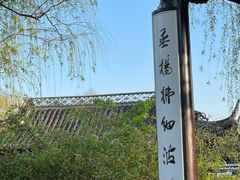 -盆景园(扬州大运河文化旅游度假区)