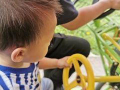 -桤木河湿地公园