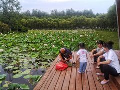 -东郊湿地公园