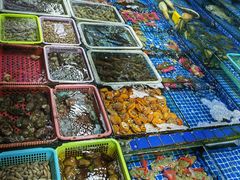 -霞涌市场海鲜摆卖区
