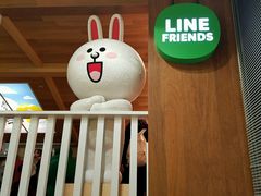 -line friends(明洞旗舰店)
